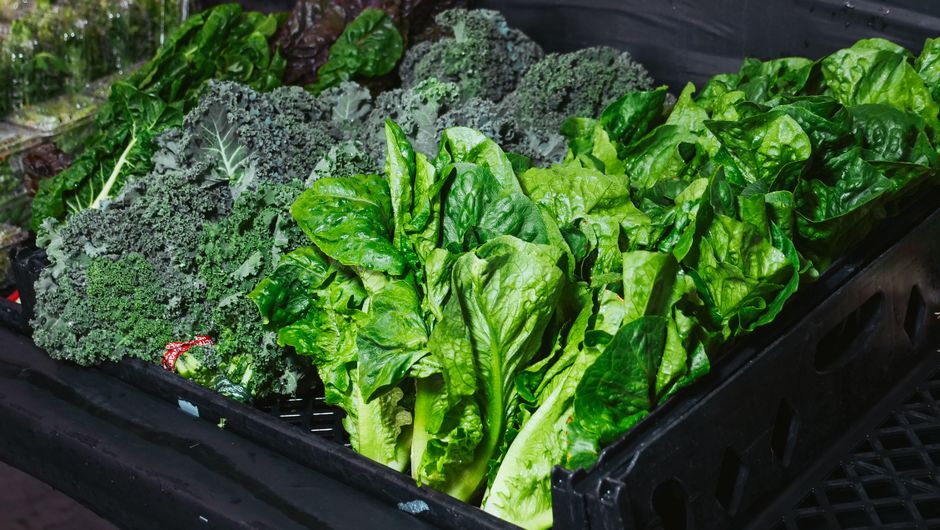 A Slower Approach to Portions Without Counting Calories, Without Overthinking It