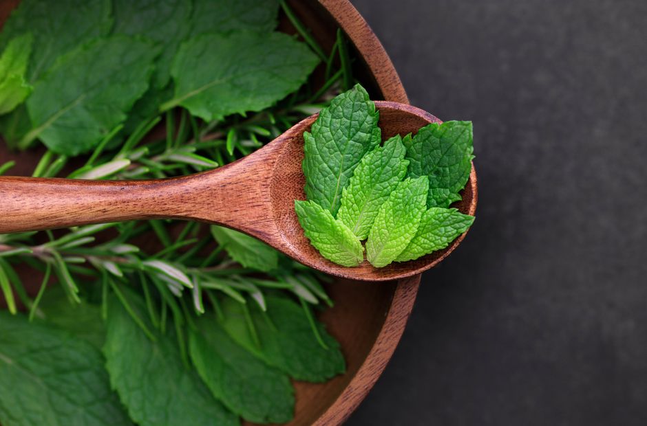 Gut Health Beyond The Marketing: What Not to Do