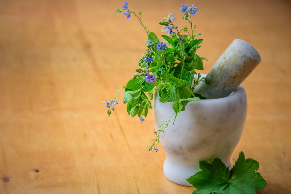 Rethinking Herbs And Botanicals: A Cautious Look, Day by Day