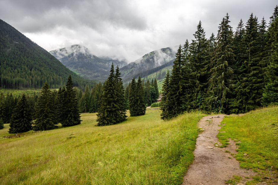 Starting Again After A Setback: A Time-Friendly Approach
