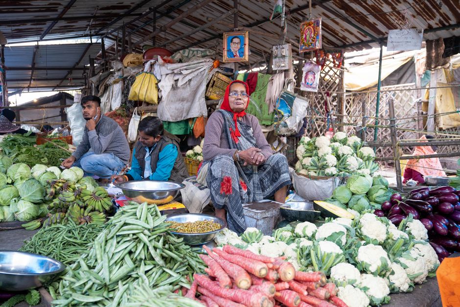 The Many Meanings Of A Healthy Diet for Busy People