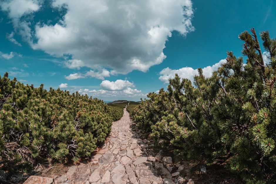 The Ordinary Virtues Of Walking: Myths and Facts