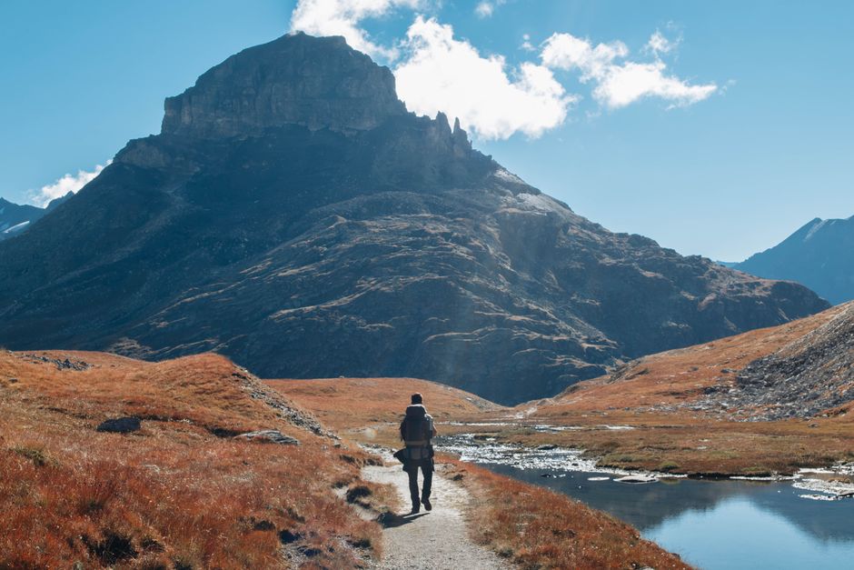 The Pleasure Principle In Healthy Living: Practical Steps You Can Use