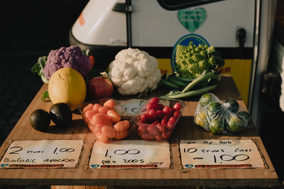 The Role Of Environment In Health: A Simple, Practical Guide