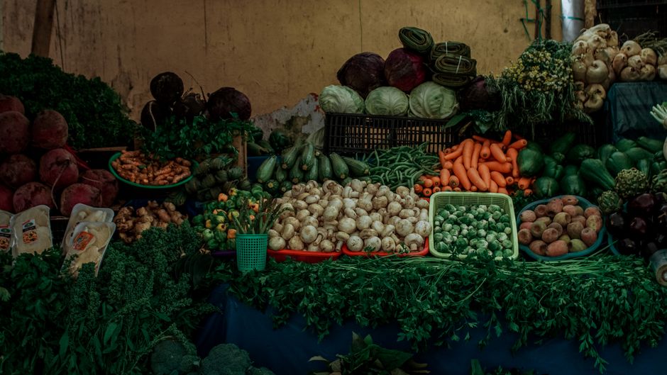 What Can a Nutrition Coach Help With? A Practical Guide