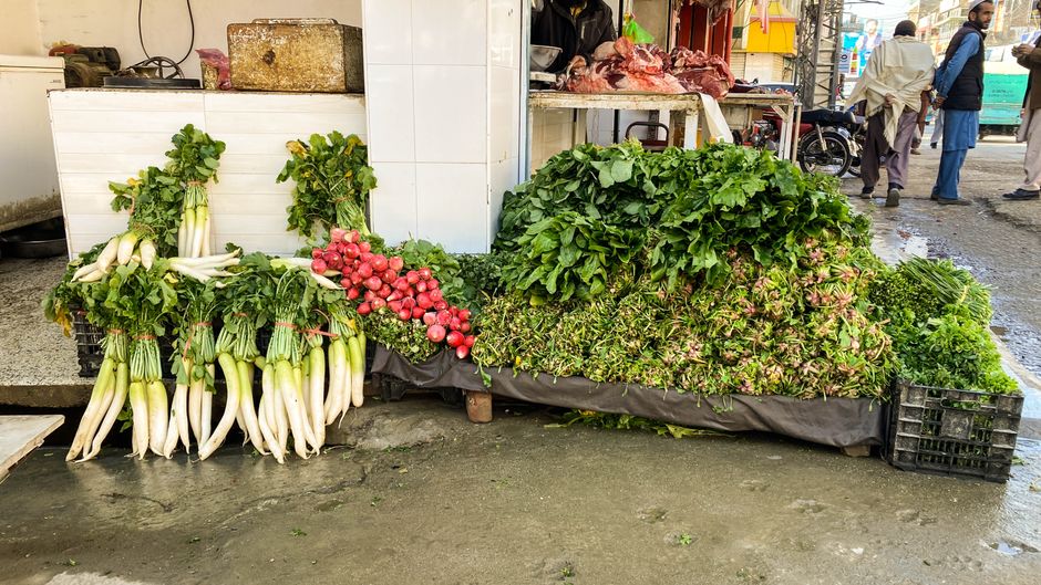 What Nobody Tells You About Anti-Inflammatory Eating, Honestly Described, Starting Today