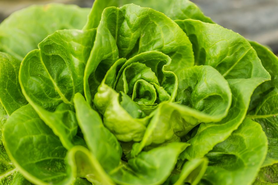 Why Fibre Helps You Feel Full: A Simple Checklist